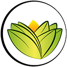 The Ayurveda Experience