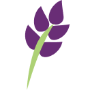 Lavender World 