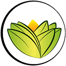 The Ayurveda Experience